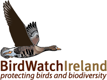 BirdWatch Ireland, Protecting Birds and Biodiversity logo in colour