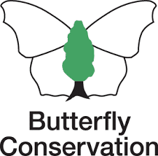 Butterfly Conservation logo in colour