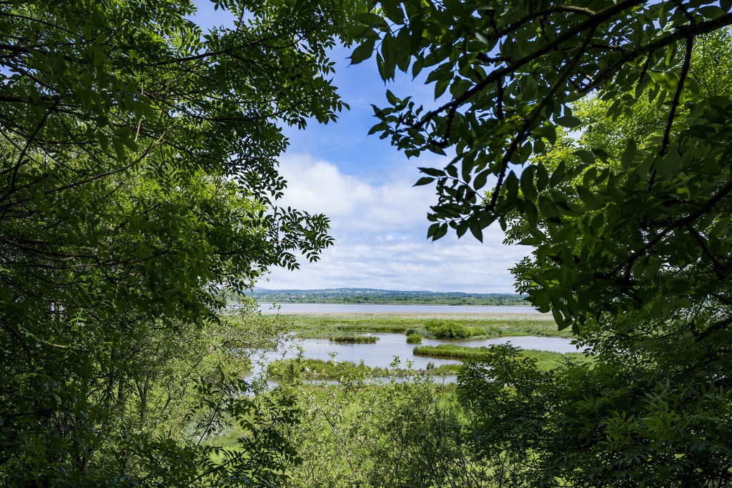 Empowering Communities for Nature: Meet the PeacePlus Nature Community Engagement Team