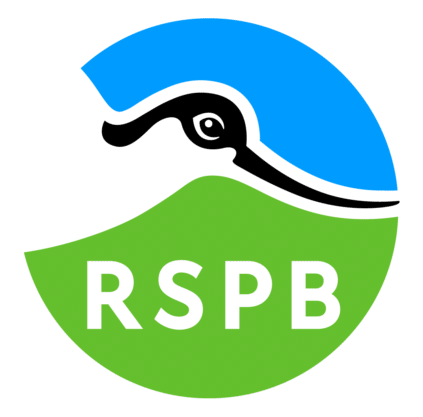 The RSPB Northern Ireland logo in colour