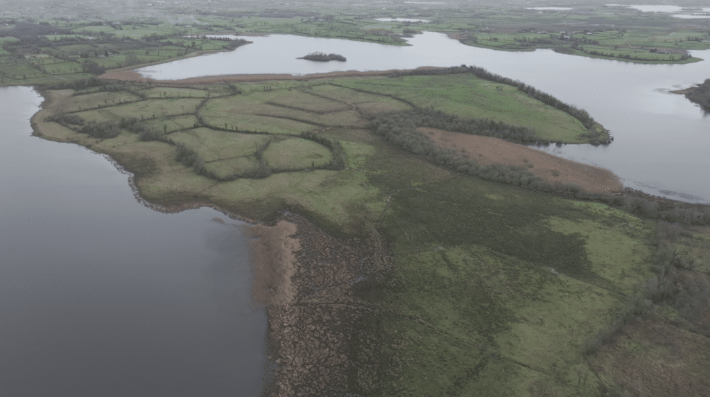 RSPB NI Announces New Fermanagh Nature Reserve to Boost Curlew and Breeding Waders