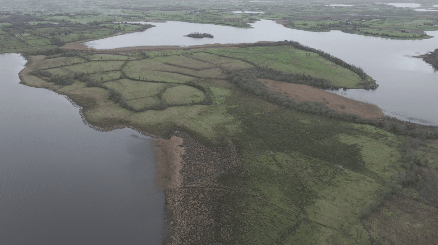 RSPB NI Announces New Fermanagh Nature Reserve to Boost Curlew and Breeding Waders
