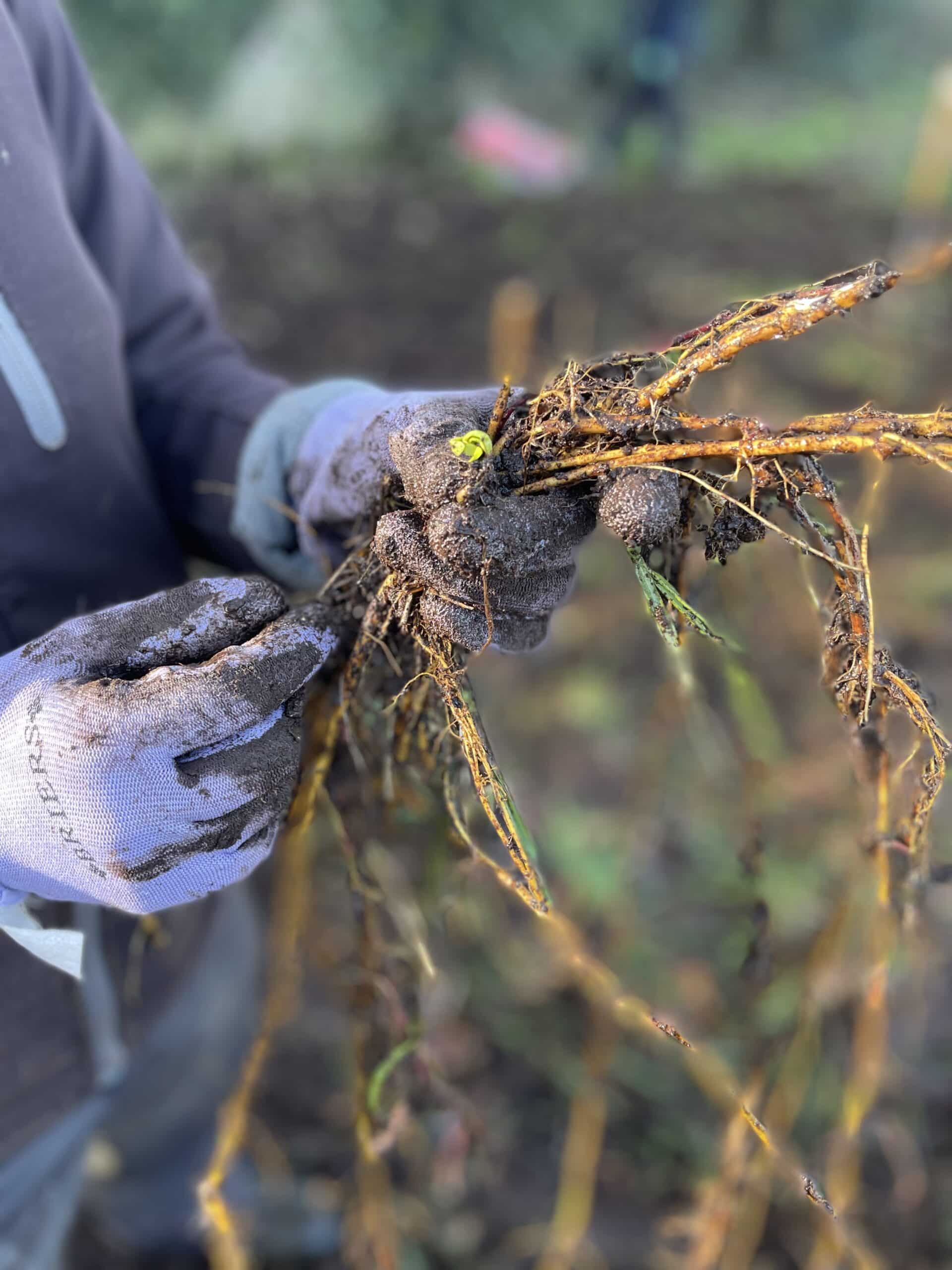Connecting Communities and Conservation: Meet the Community Engagement Officers