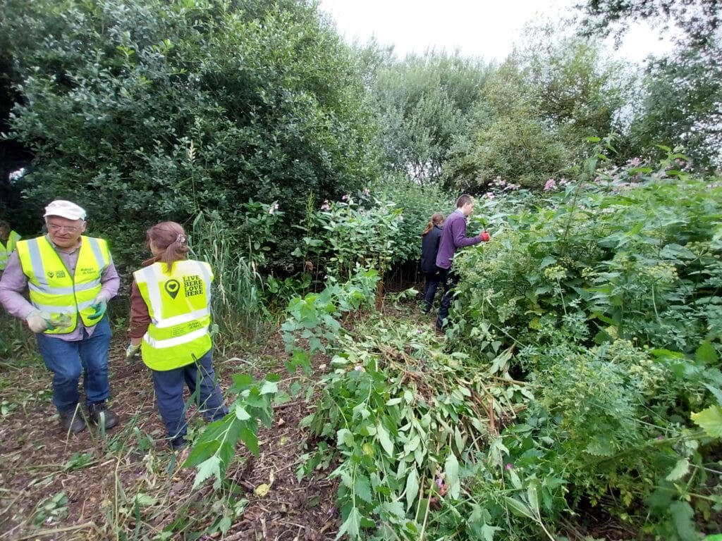 Himalayan Balsam Bash with PeacePlus Nature