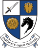 Monaghan County Council logo in colour